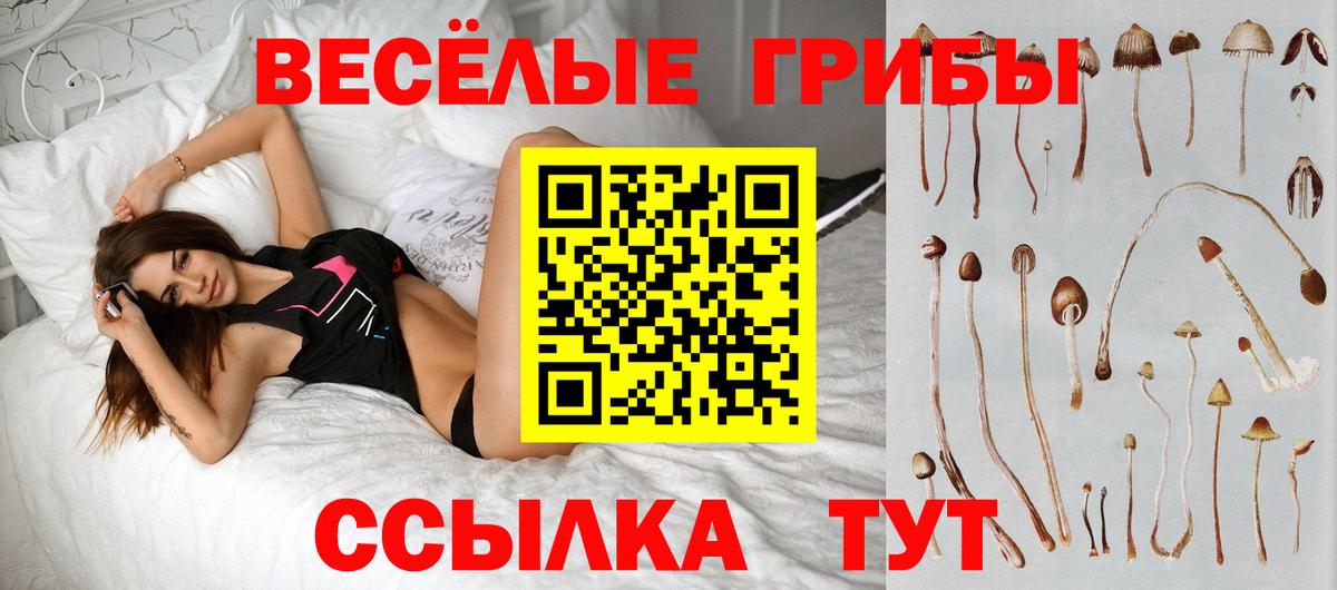 Тимашёвск  Галлюциногенные грибы мухоморы  закладки  Вход с VPN 